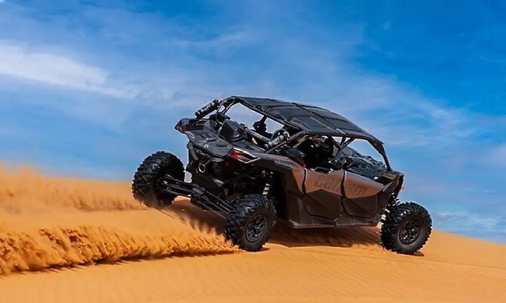 Canam Buggy